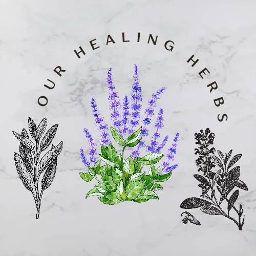 Our Healing Herbs
